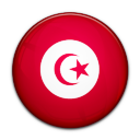 Flag Of Tunisia Icon